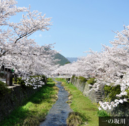 一の坂川