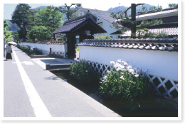 山陰の小京都、津和野